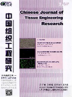 中国组织工程研究